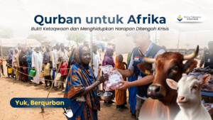 Qurban untuk Afrika